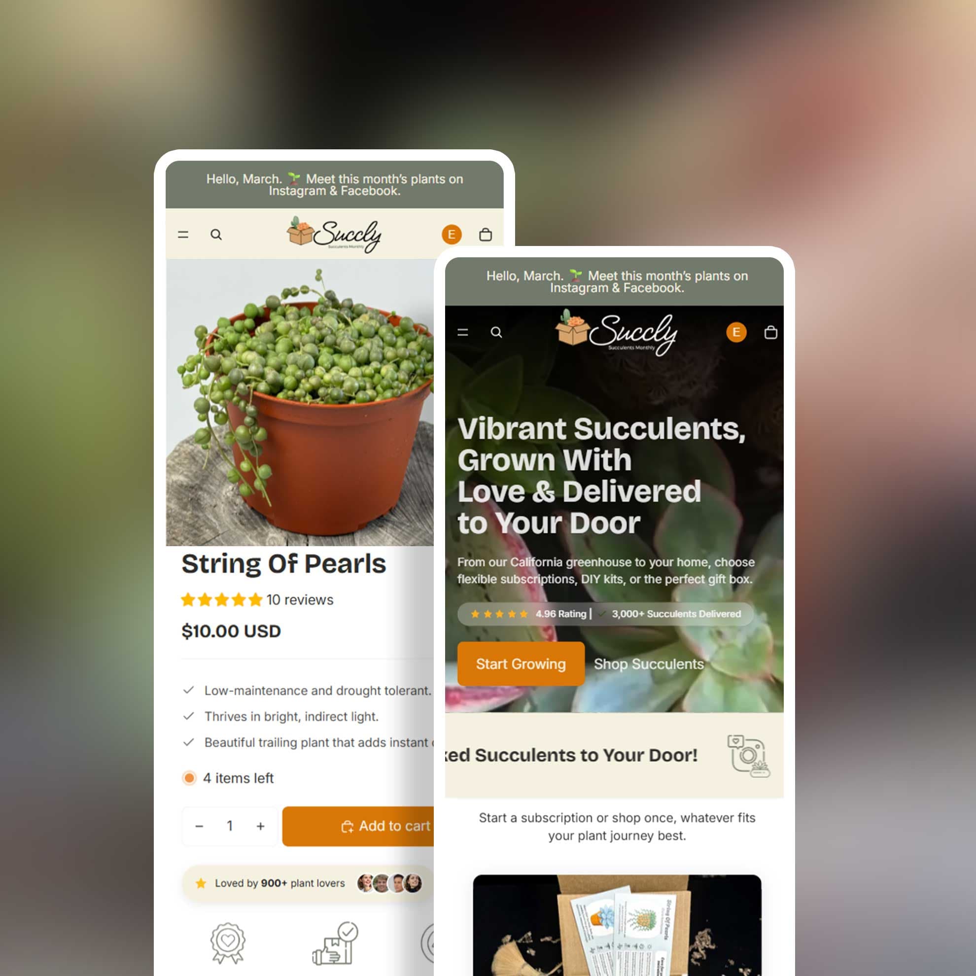 High-Performing Subscription Store for Succly - Subscription Wellness Successful Shopify Optimization