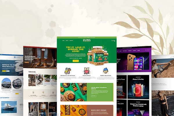 Conversion-Centric Shopify UX and UI Design Selection