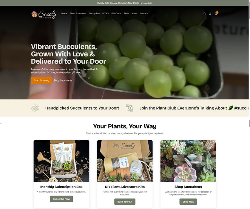 ‘Succly’ the succulent subscription store: Shopify Build